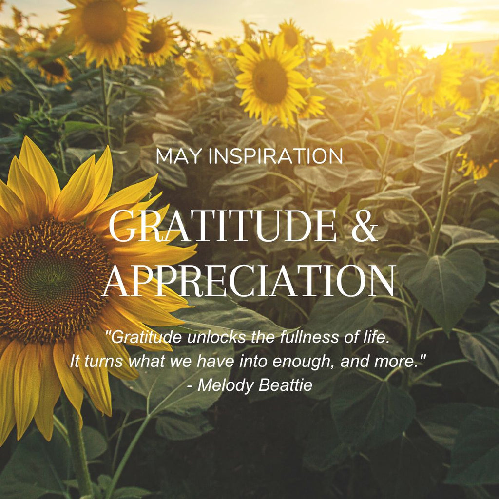 May's Blossoms and Life's Blessings: A Deep Dive into Gratitude - mylittlemantra