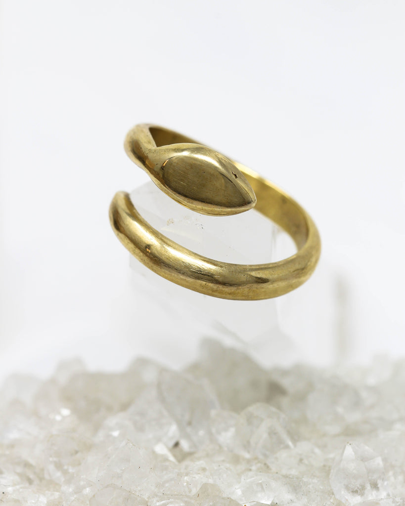 Guardian Serpent Ring - mylittlemantra